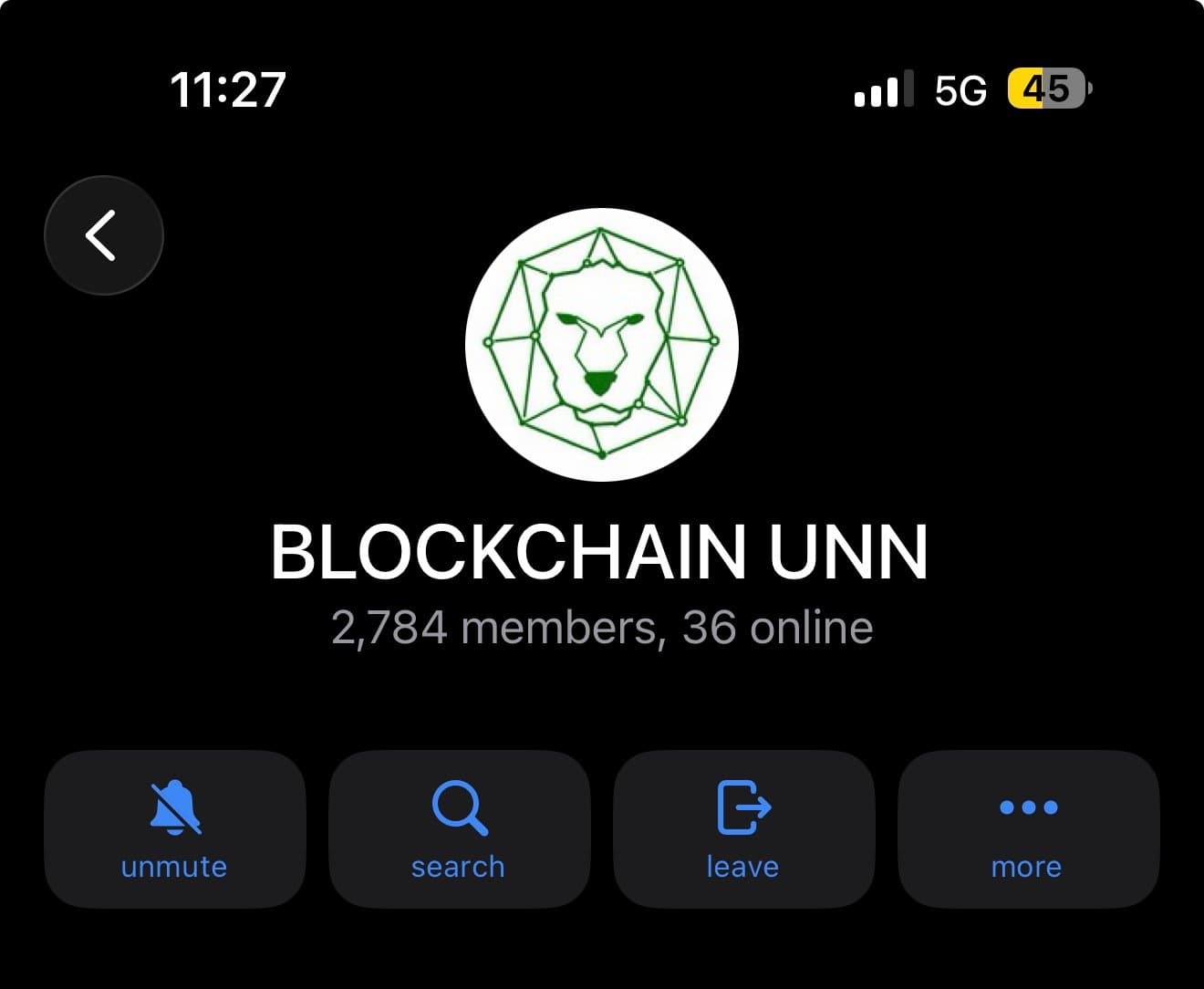 BlockchainUNN Telegram community